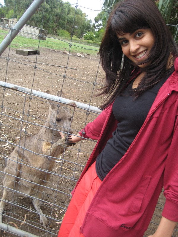 Bubbly Genelia can't help her excitement as she feeds a Kangaroo at a zoo.