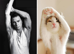 Sexy Men and Their Cat Twins Very Funny