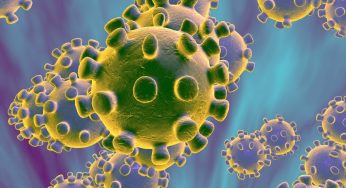 Coronavirus – Symptoms, Solution, Current News & Stats