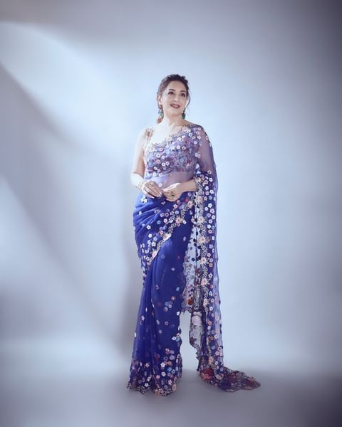 Net Saree With Sitara Work