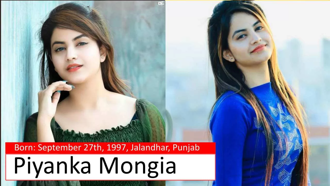 Priyanka Mongia Instagram Followers