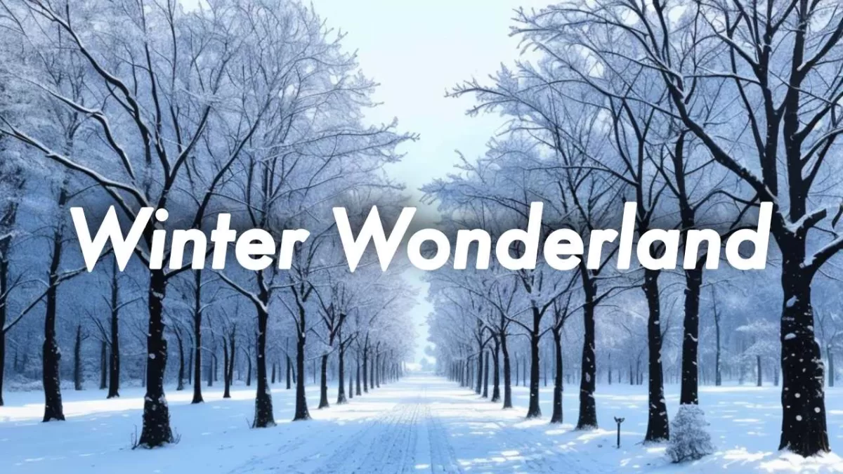 winter wonderland