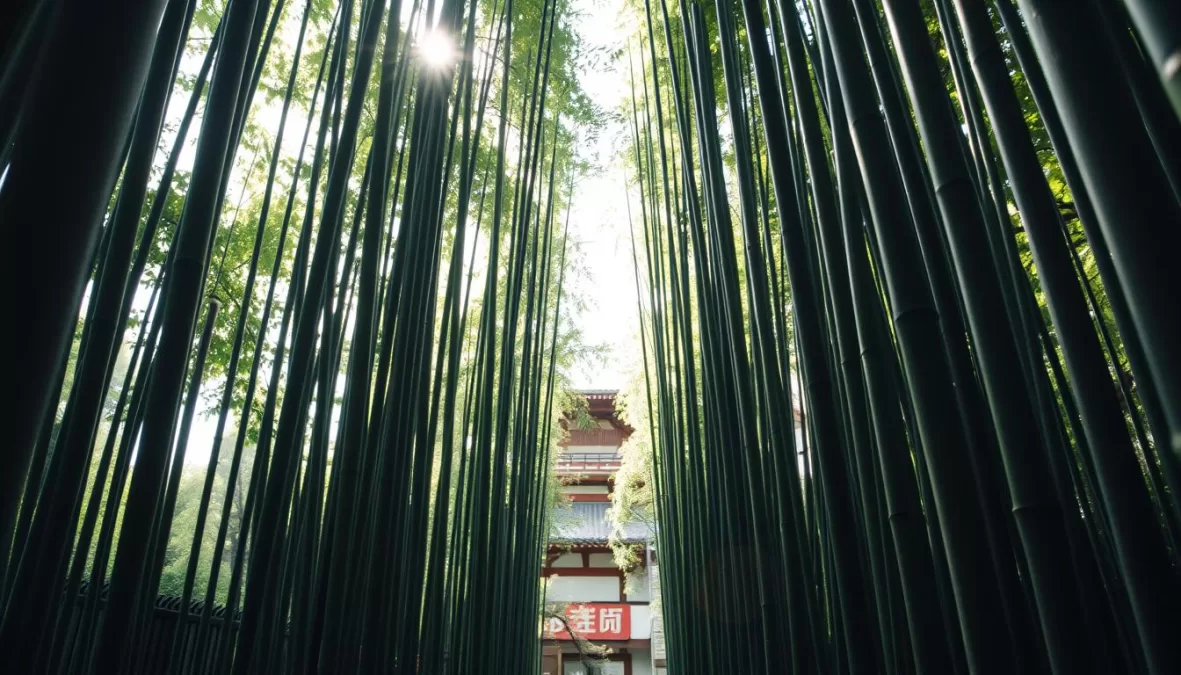 Arashiyama Bamboo Grove in Kyoto with traditional Japanese temple