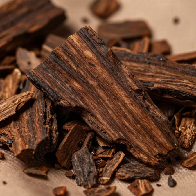 Close-up of precious oud wood chips used in Middle Eastern perfumes for women