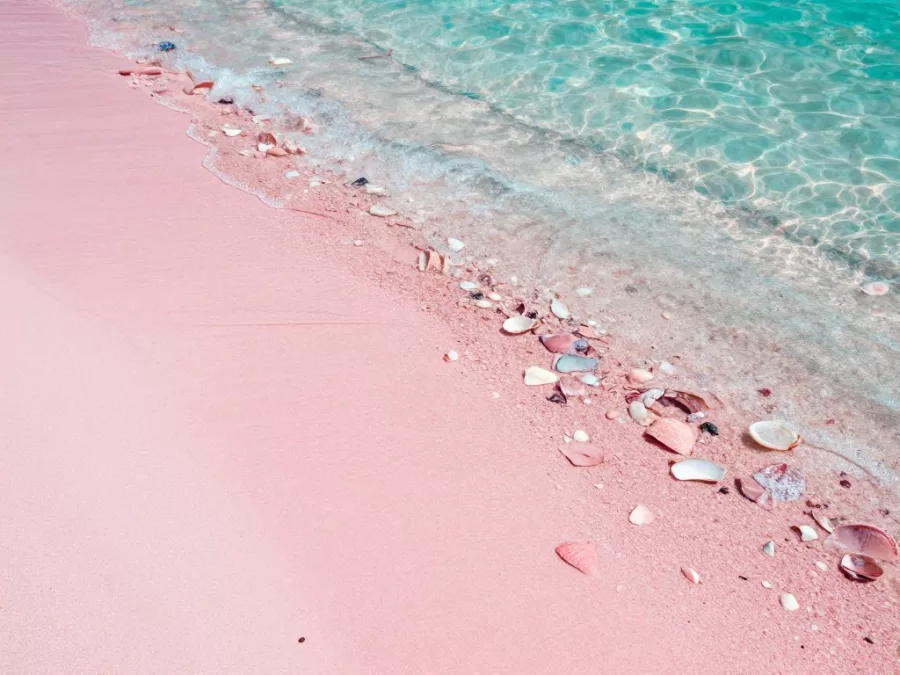 Elafonissi pink sand close up shells turquoise water Crete