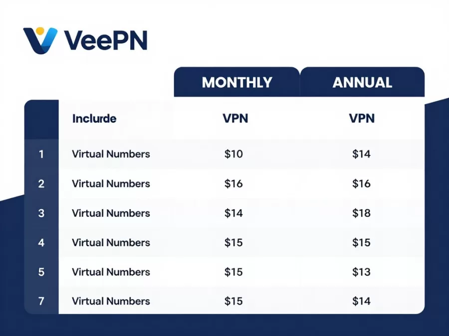 VeePN subscription plans and features