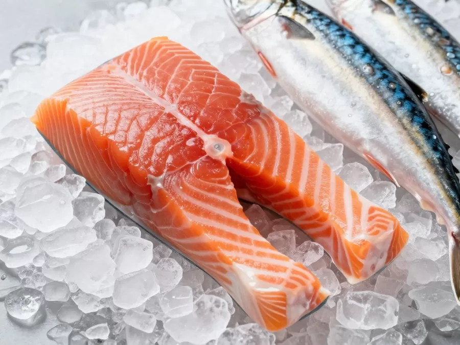 fresh salmon fillet with omega-3 rich fatty fish varieties displayed on ice