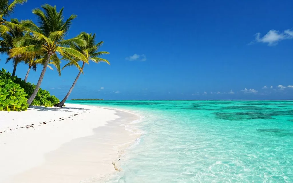 Maldives beach with white sand and palm trees