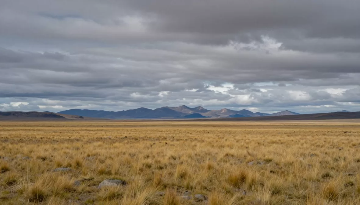 Patagonian steppe endless plains and sky