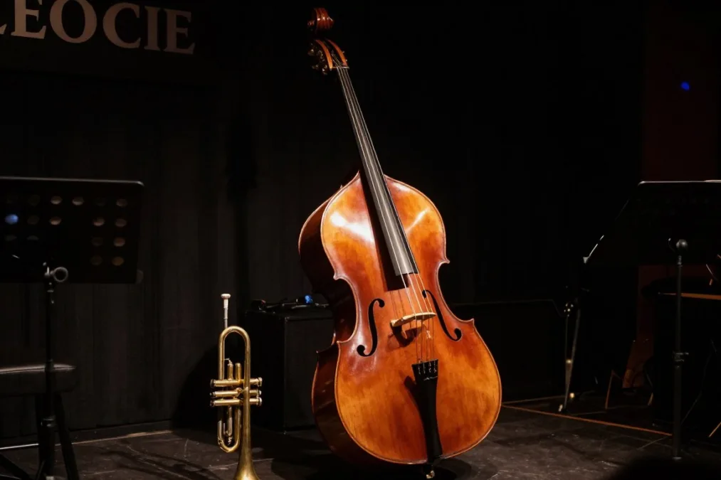 Acoustic upright bass and brass trumpet on stage Acoustic upright bass and brass trumpet on stage