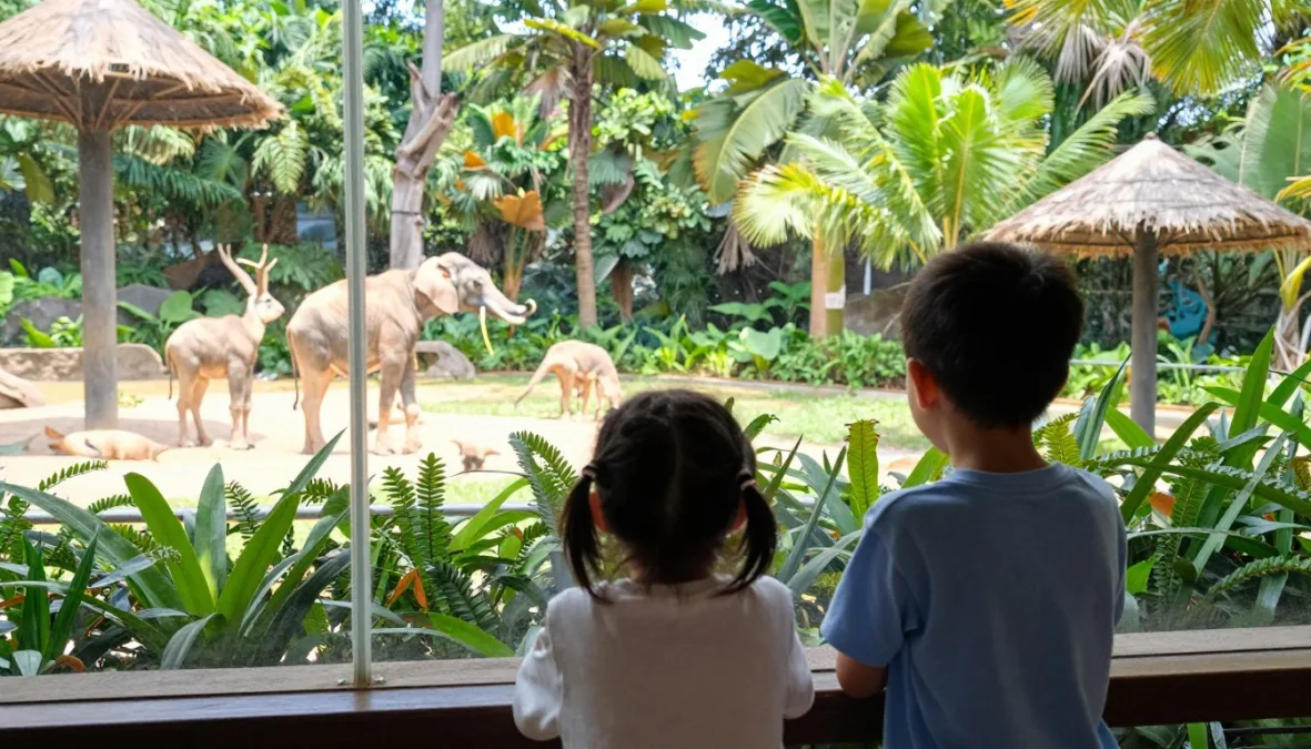 Children viewing wildlife habitats at the San Diego Zoo Children viewing wildlife habitats at the San Diego Zoo